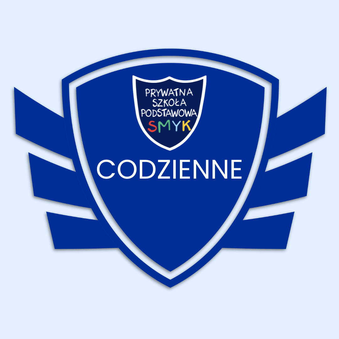 Mundurki szkolne smyk codzienne