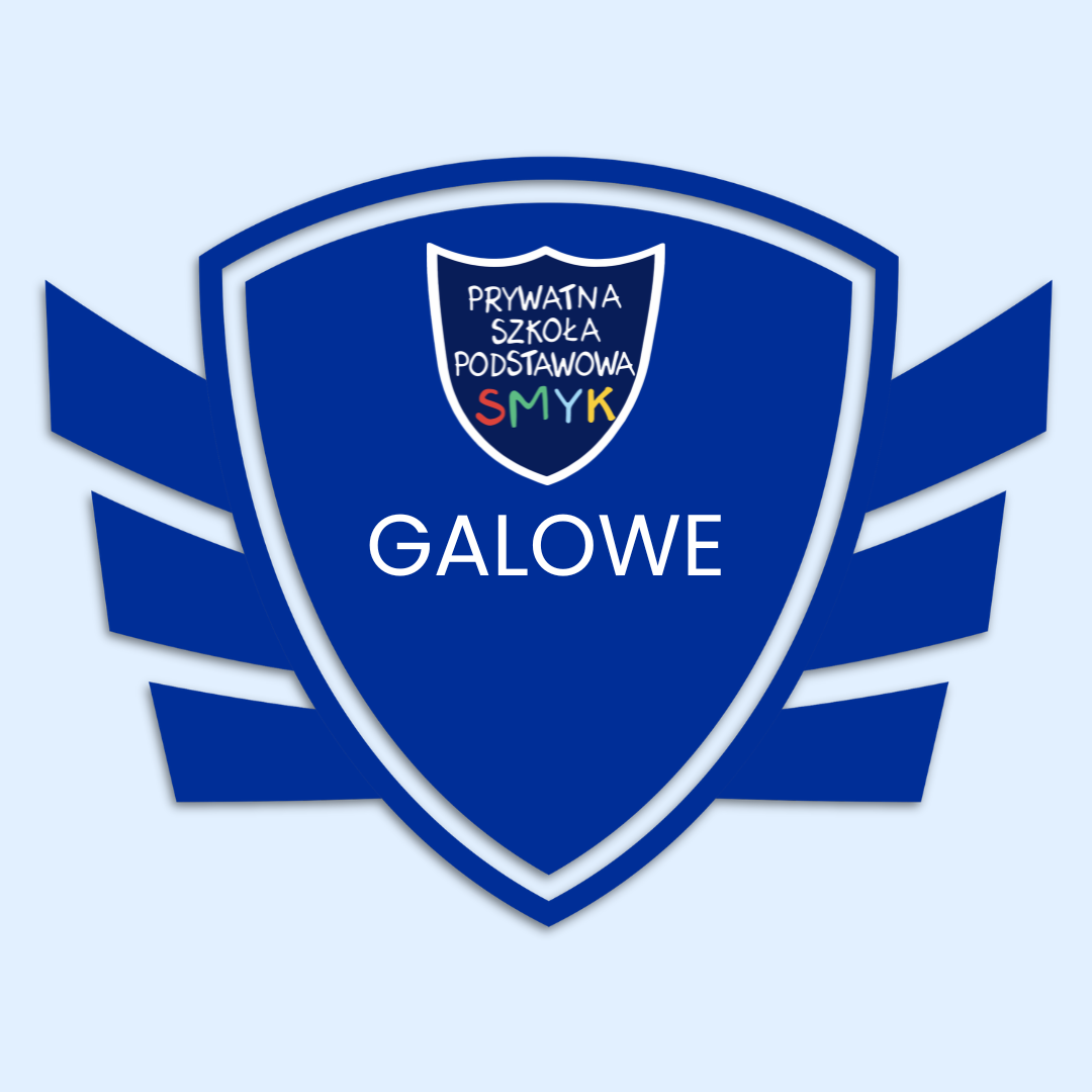 Mundurki szkolne smyk galowe